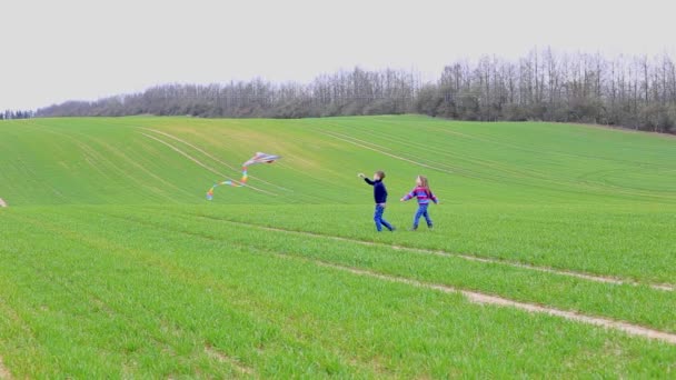 Los niños lanzan una cometa en un campo en primavera — Vídeo de stock