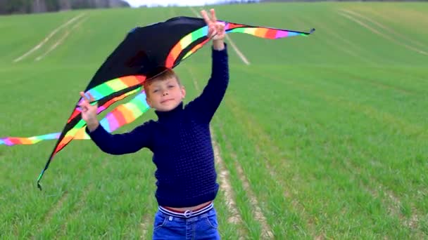 Jongen lanceert een vlieger in een veld in het voorjaar — Stockvideo