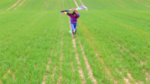 Niña lanza una cometa en un campo en primavera . — Vídeo de stock