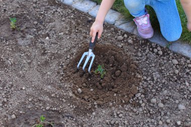 Anne ve kızı bir bahçede çalışıyor.