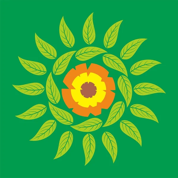 Ayçiçeği yaprakları