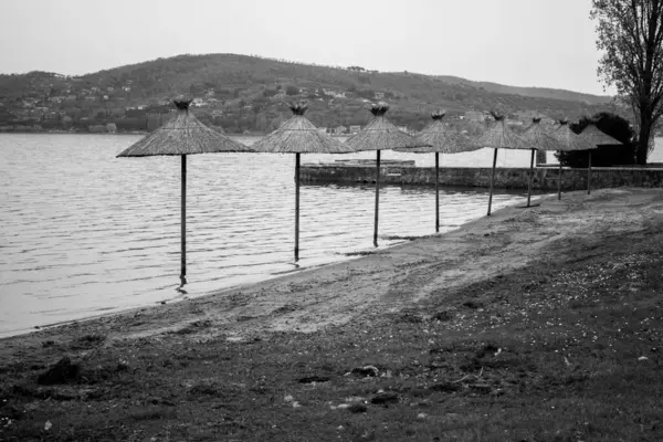 Lago Trasimeno 'daki plaj şemsiyeleri.