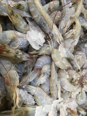 Pazarda taze karides var..