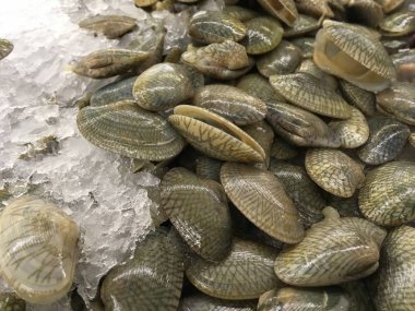 Buzdaki taze midyeler.