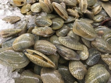 Buzdaki taze midyeler.