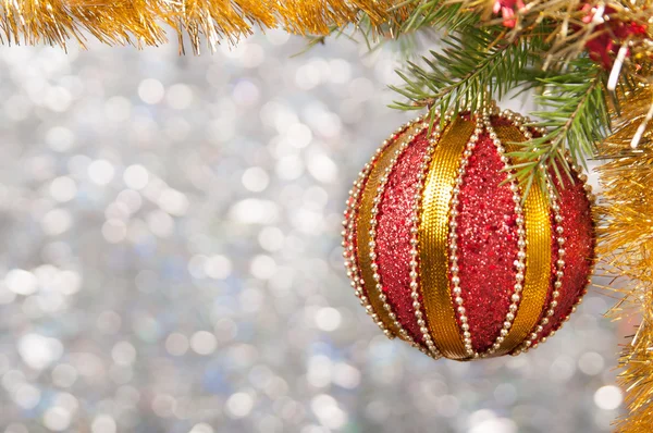 Bir Noel ağacı dalı parlak arka plan bulanık üzerinde kırmızı Noel top yakın çekim.