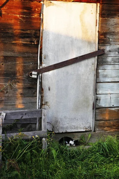 Porta chiusa con vecchia serratura sulla casa colonica del villaggio. L'edificio di stoccaggio è chiuso con serratura. Casa chiusa. Cat sta dormendo prima della porta . — Foto Stock