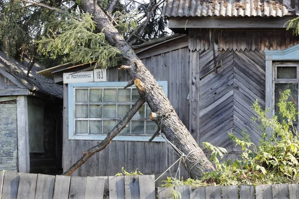 Distruzione della casa dopo il disastro naturale. Dopo tempesta l'albero cade su casa di villaggio di legno . — Foto Stock