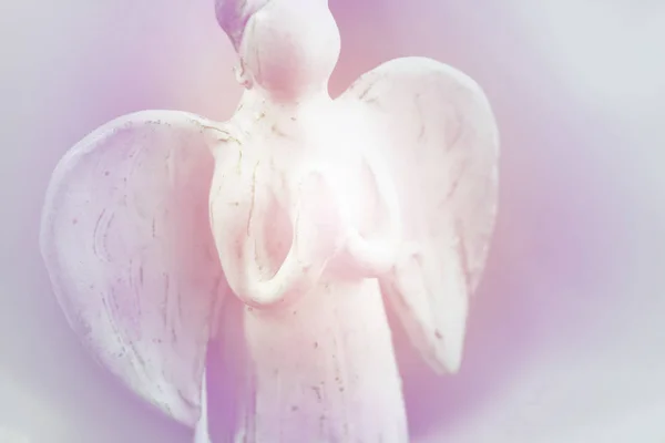 Молящийся ангел . — стоковое фото