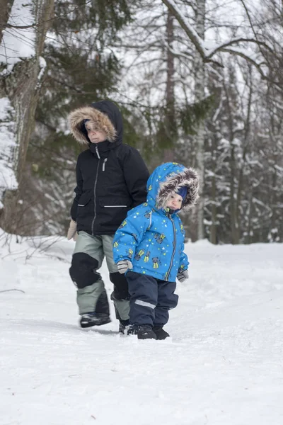 Kış kar ormandaki iki kardeş zıt hedefe gidiyoruz. Çocuklar gibi bir takım