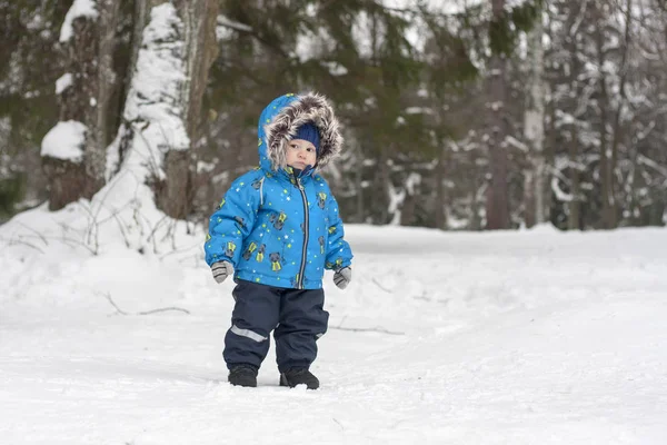 Baby boy in winter snow forest wandering among pine trees. Boy walk in cold weather — Stock Photo, Image