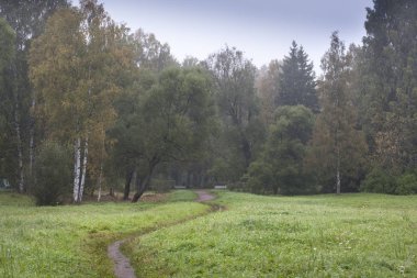 Yeşil alan dar yolda 