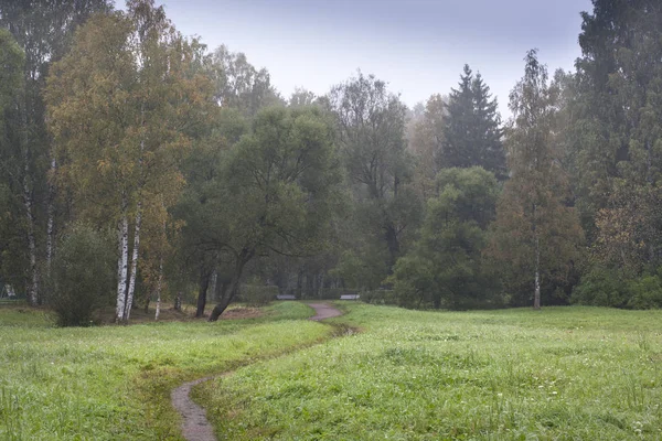 Yeşil alan dar yolda 