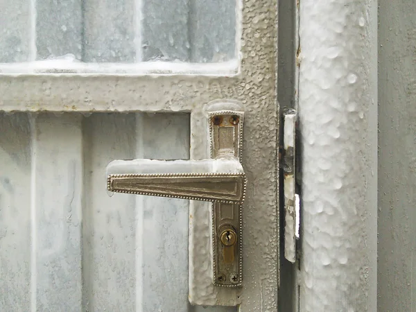 Mrożone i lodu pokryte Obrazy Stockowe bez tantiem