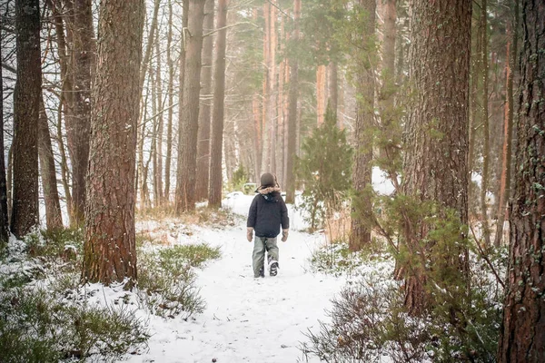 Samotny chłopiec spaceru w lesie sosnowym Obrazek Stockowy