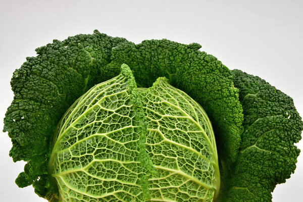 Kale on a white background.