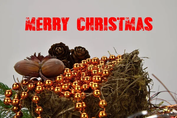 Merry Christmas. Nest with nuts and pine cones. The inscription Merry Christmas. — Stock Photo, Image