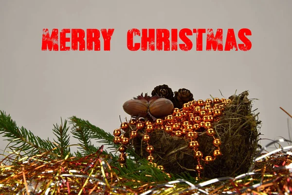 Merry Christmas. Spruce branch with a nest, nuts and pine cones. The inscription Merry Christmas. Gray background. — Stock Photo, Image