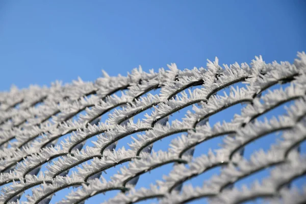 Clôture en fil enduit de plastique recouverte de givre et de givre, fond bleu ciel . — Photo