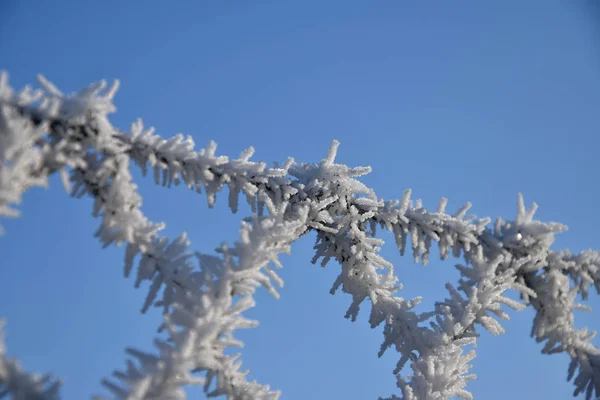 Recinzione di filo rivestito di plastica ricoperta di hoarfrost, sfondo cielo blu . — Foto Stock