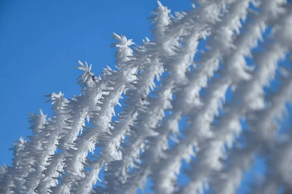 Clôture en fil recouverte de givre et de givre, fond bleu ciel . — Photo