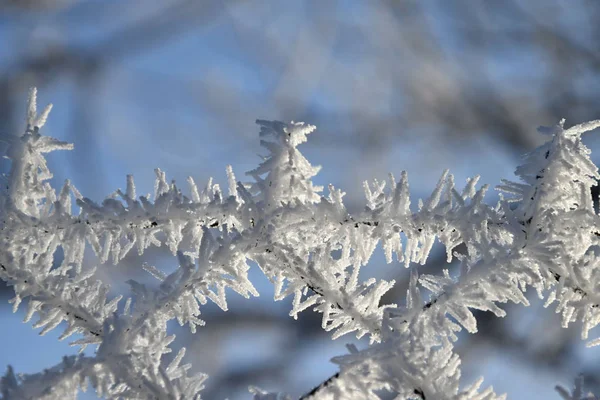 Wire fence covered with frost and hoarfrost — Stock Photo, Image