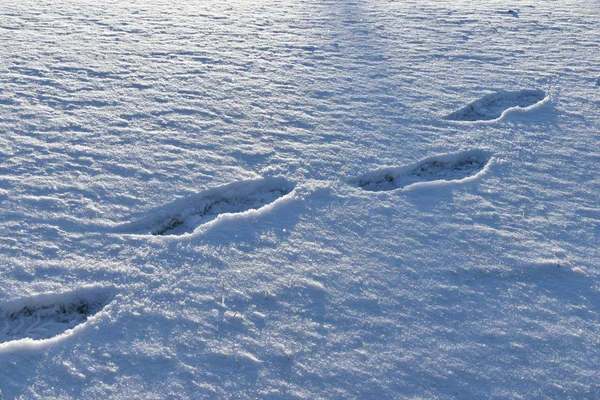 Impronte umane sulla neve. — Foto Stock