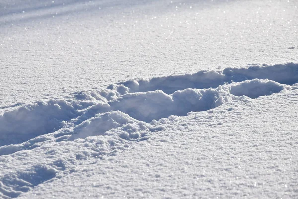 Karda insan ayak izleri. — Stok fotoğraf