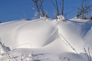 Snowdrifts, mavi gökyüzü ve çalılar.
