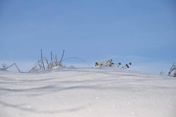 Snowdrifts, mavi gökyüzü ve çim — Stok fotoğraf