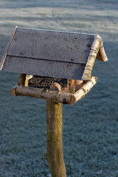 凍傷鳥の餌だ冬時間だ白い氷の結晶。鳥の餌に輝く太陽. — ストック写真