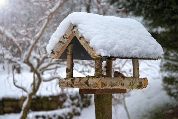 冬の鳥の餌は雪で覆われている 家で作られた 冬の鳥を助ける — ストック写真