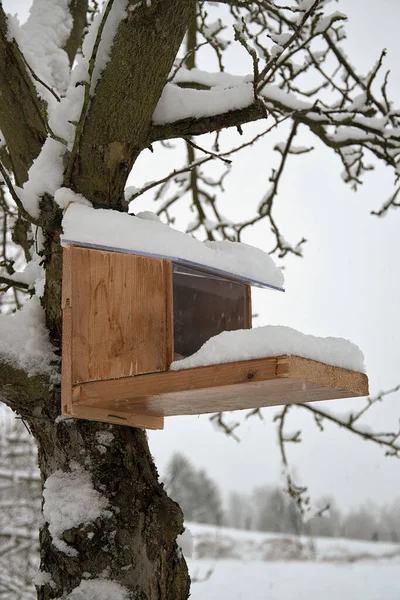 Feeder for squirrels in winter covered with snow. Home made. Help for squirrels in winter.