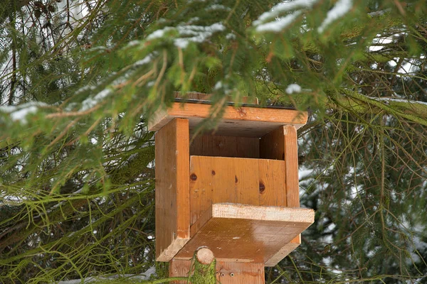 トウヒに取り付けられたリスのための住宅 家で作られた 冬のリスの助け — ストック写真