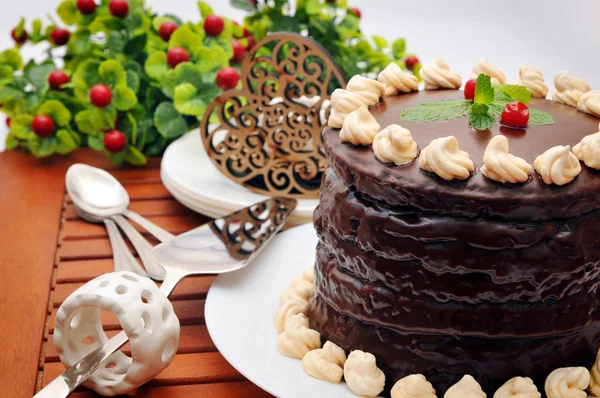 Torta al cioccolato fatta in casa — Foto Stock