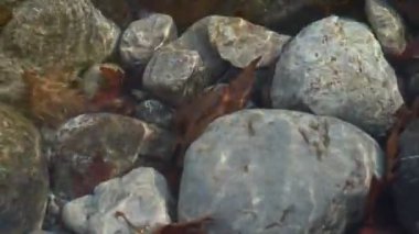 berrak su yansma light 