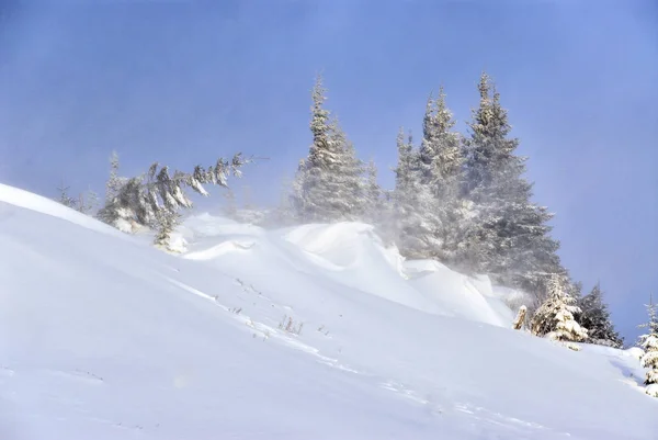 Dağları'nda fırtına