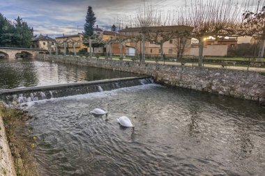 Ayllon ve ortaçağ köprüsünden geçen Aguisejo Nehri (Segovia, İspanya)