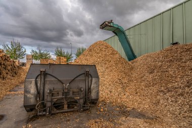 Çam ağacının tedavisi ve işlenmesi için kereste fabrikası