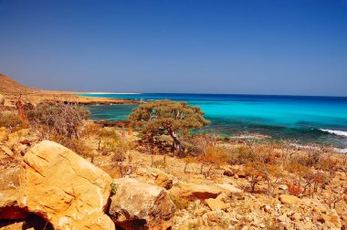 Yalı değmemiş ile.