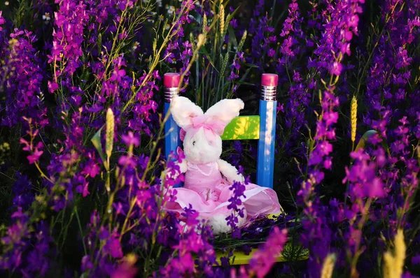 Children's soft toys and flowers among the field — Stock Photo, Image