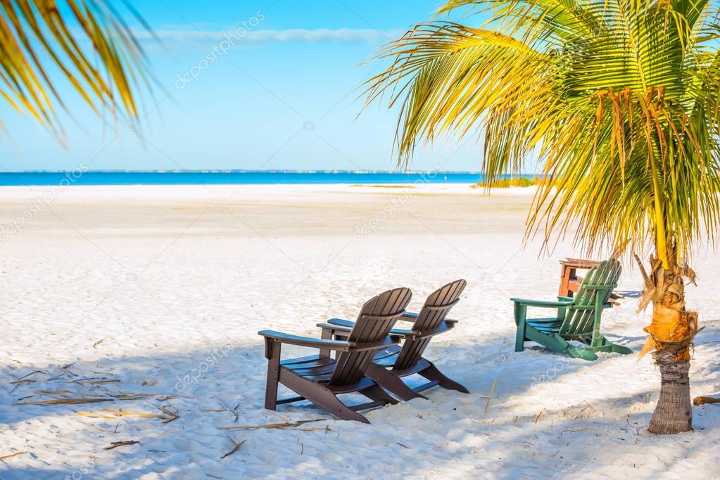 deck chairs and palm trees on the beach