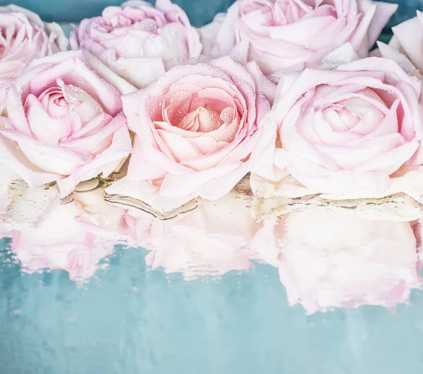 Hermosas rosas rosadas delicadas en un azul brillante — Foto de Stock