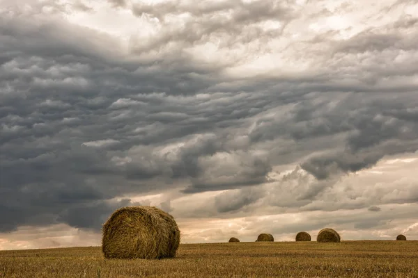 Круглые стоги сена на поле — стоковое фото