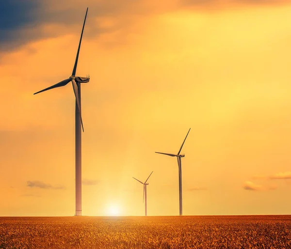 Rüzgar jeneratörü buğday alanları arasında 
