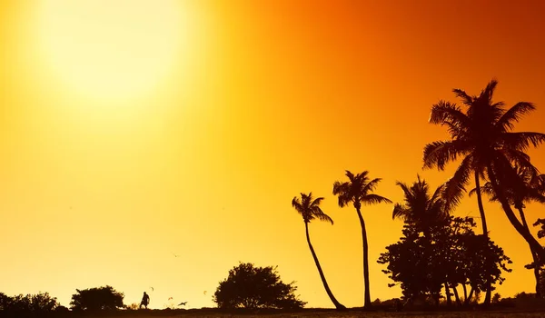 Silhouetten van palmbomen op een oranje achtergrond, — Stockfoto