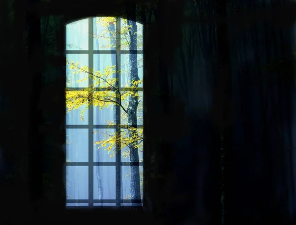 Kép a fekete háttér, az őszi fa ágai néző ablak — Stock Fotó