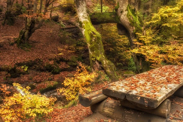 Kaba günlükleri sonbahar ormandaki küçük bir nehir tarafından ahşap bir masa. — Stok fotoğraf