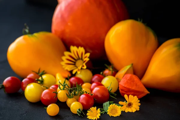 Tomaten in verschiedenen Farben, Formen und Größen auf dunklem Hintergrund. — Stockfoto