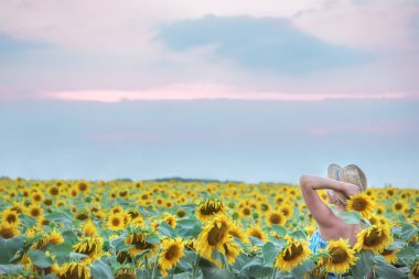 Ayçiçeği tarlası olarak Hasır Şapkalı bir kız.